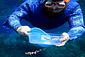 Smallerspotted Catshark Release